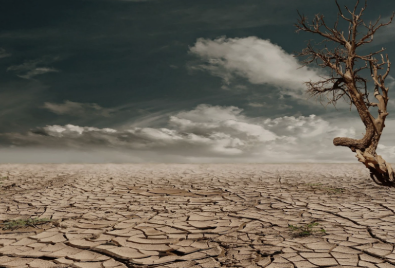 Desert, dry land