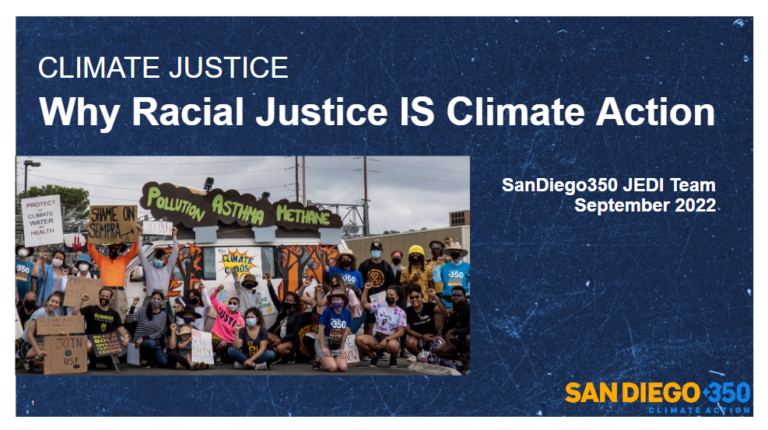 Slide that reads, "Why Racial Justice IS Climate Action".