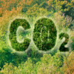Co2 on trees