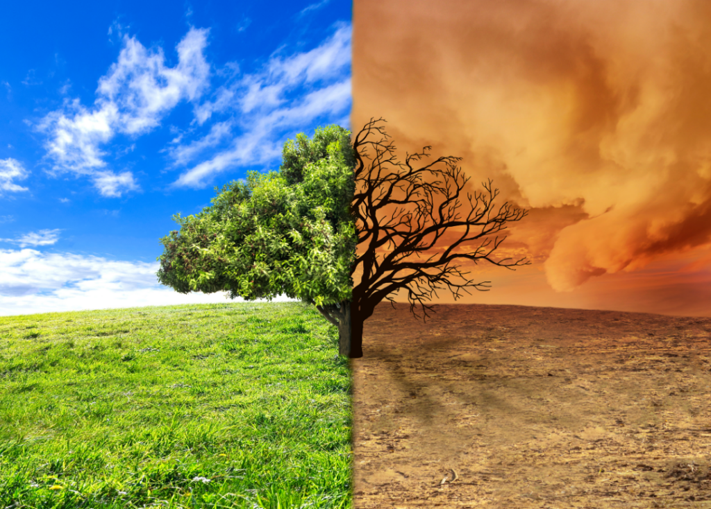 A thriving tree and planet and a deteriorating tree and planet.