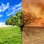 A thriving tree and planet and a deteriorating tree and planet.