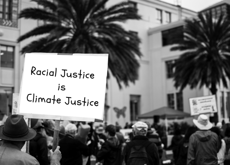 Sign at a protest that reads "Racial Justice is Climate Justice"