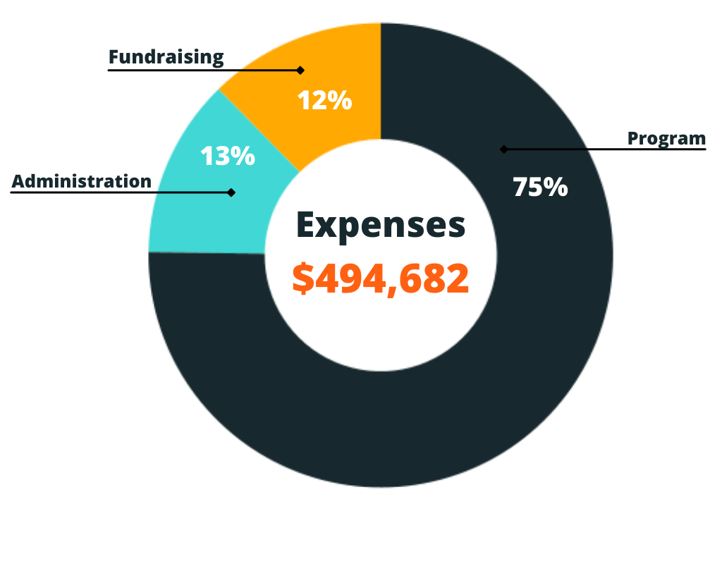 Expenses chart