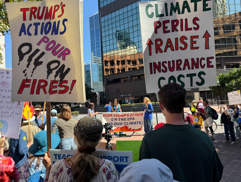 People holding signs at a rally