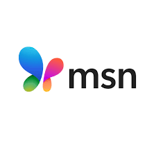 MSN news logo