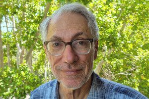steve gelb for web steve gelb for web